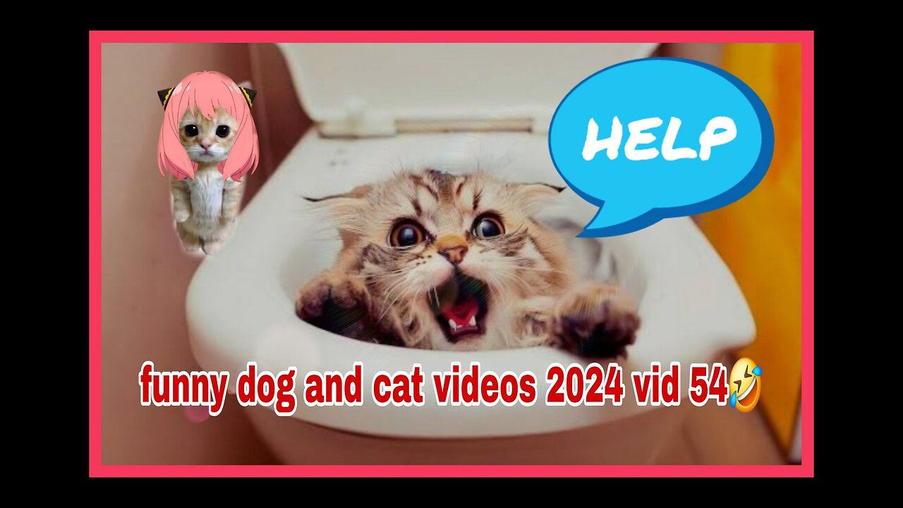 🤣🤣🤣🤣 funny cat and dog videos 2024 ...Funniest 🤣🤣🤣🤣