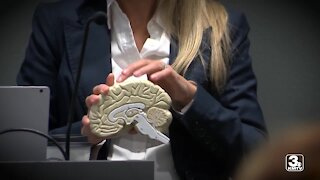 At Ease USA hosts conference to educate community about PTSD