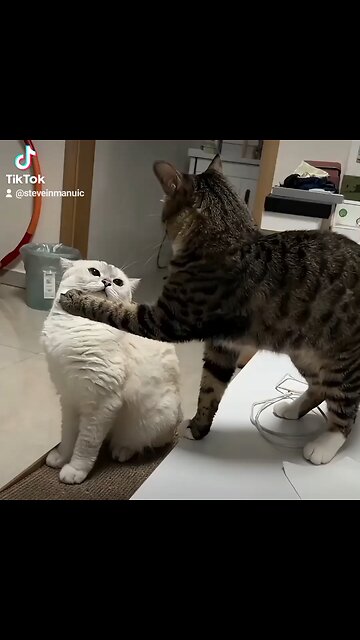 All words little action