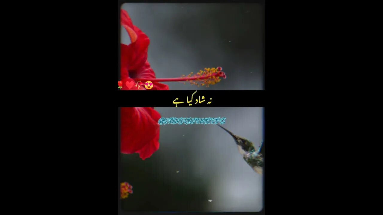 Or kitno ko barbad karoge| Nushtrat Fateh Ali Khan