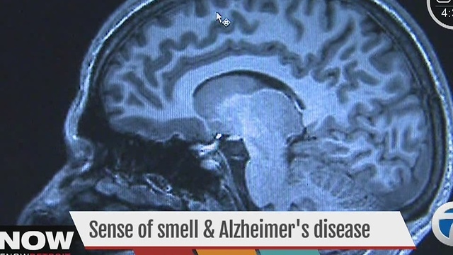 Sense of smell and Alzheimer's