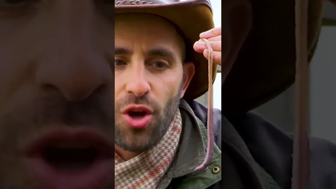 Have you ever seen anything like that TikTok Brave Wilderness