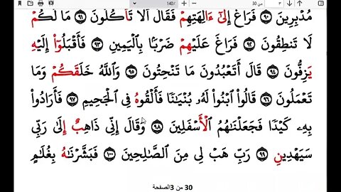 الختمة الرمضانية للاخوات رمضان 1443هـ كل ربع بقارئ أو راوي 19