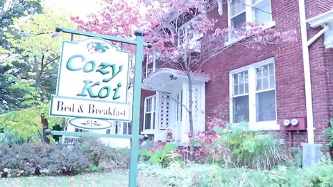 Cozy Koi Bed and Breakfast LLC - 1/24/22