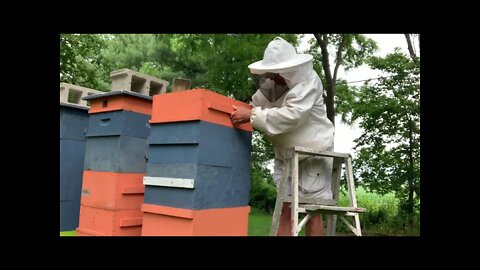 S4E19 - June 27, 2021 CHECK HONEY SUPERS - EXTACT HONEY