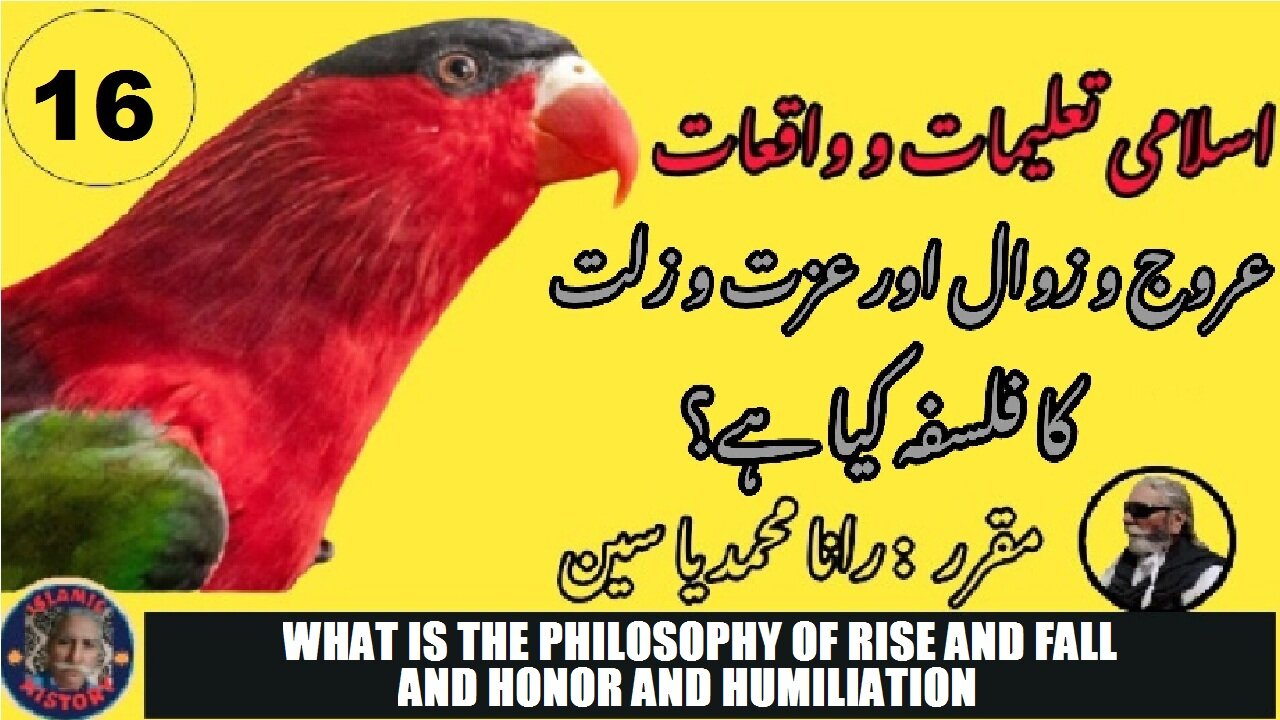 What is the philosophy of rise and fall and honor and humiliation?