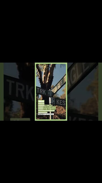 Back Up Boobook - Highlights B