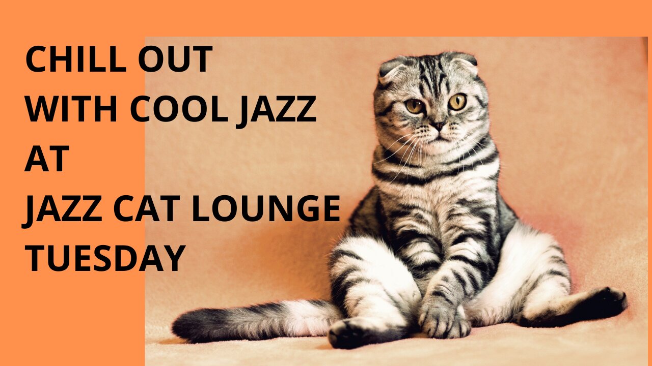 Chill out with cool jazz at JAZZ CAT LOUNGE TUESDAY