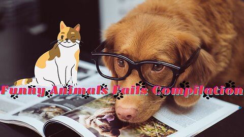 A selection of funny animal mishaps