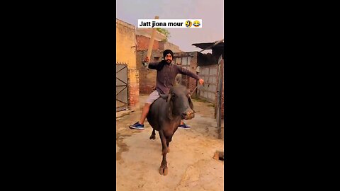 jatt jeona mord🤣plz follow me🙏🙏