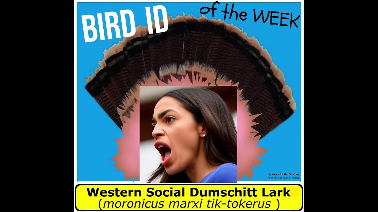 ​Alexandria Ocasio-Cortez (AOC) is Bird of the Week! The Western Social Dumschitt Lark