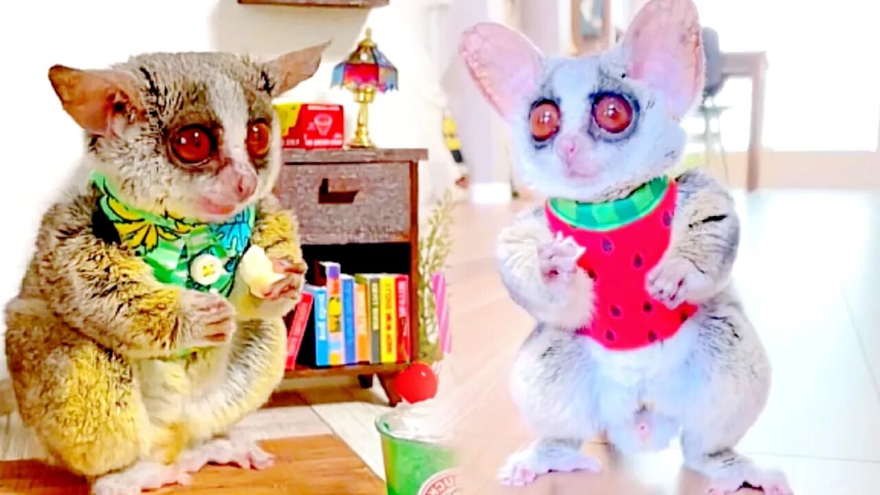 I've seen this little thing before