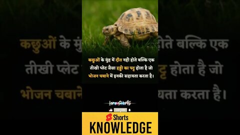 Motivational Quotes Intresting Facts lifestyle & research #shorts #ytshorts #knowledge #motivation