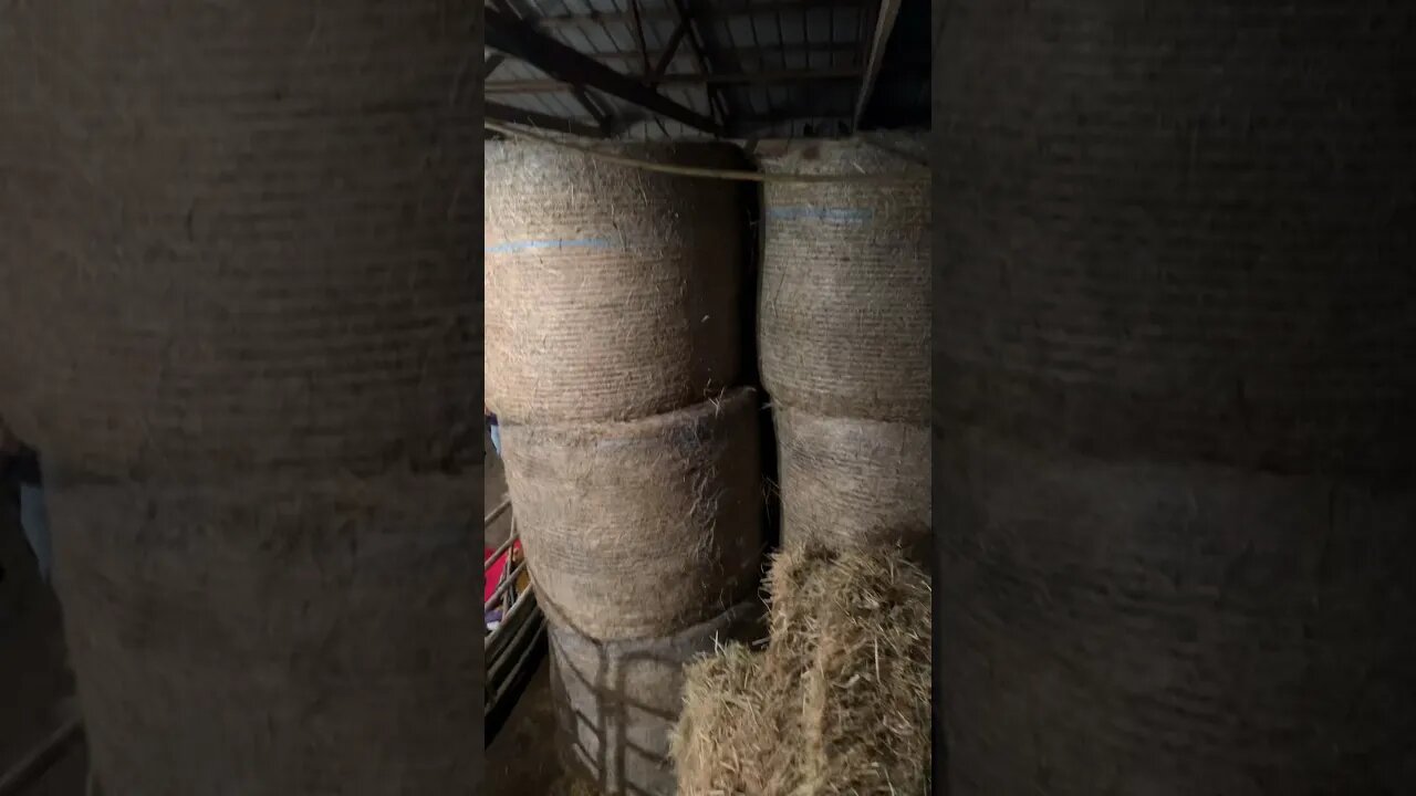 FUN IN THE HAY! 🌾🎃🍁