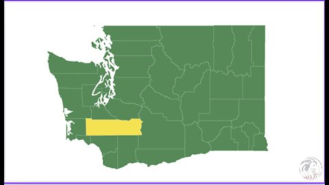 Lewis County, WA 2024 Election Recap (short version)