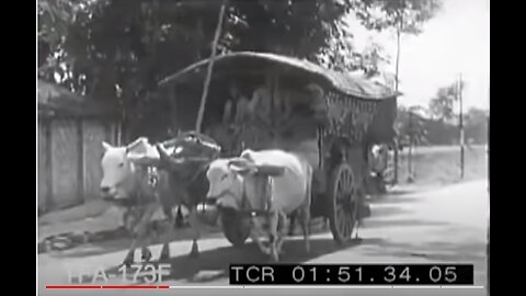 Bali, 1920s - Another Nostalgic - Time Travelling Video Documentation