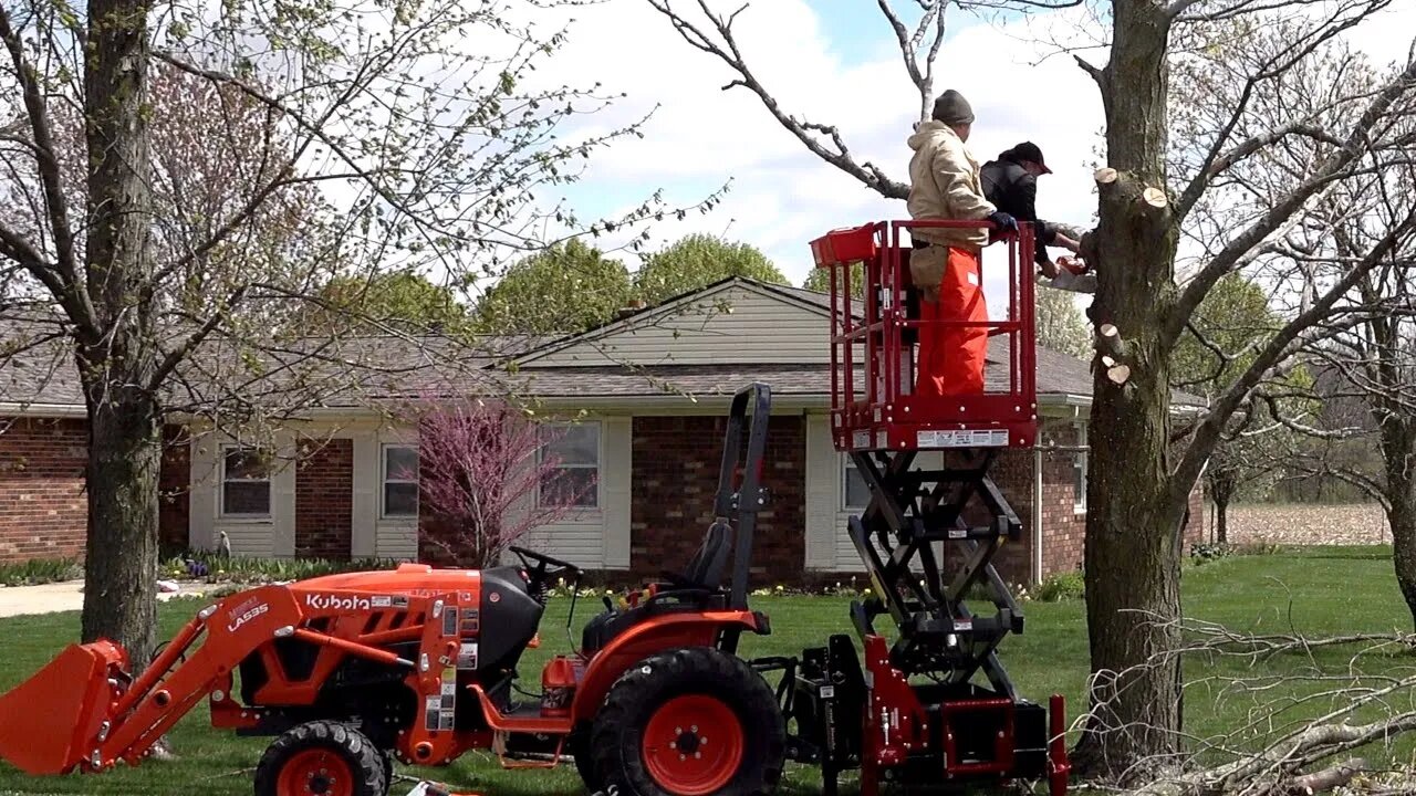 Scissor Lift to Cut Down A Tree?