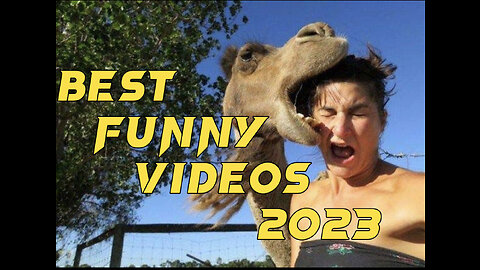 Most funny videos 2023😂🐱 | Funny animal videos