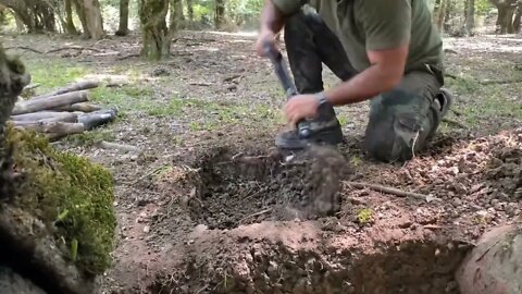 Build a warm shelter with a fireplace inside a 5,000 year old tree.19