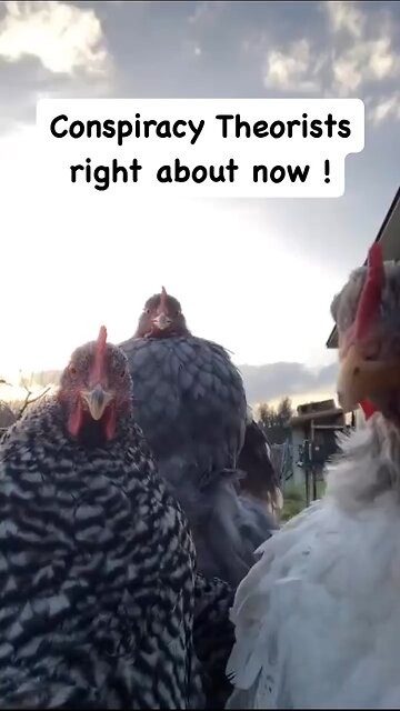 Conspiracy theorists rightly about now!