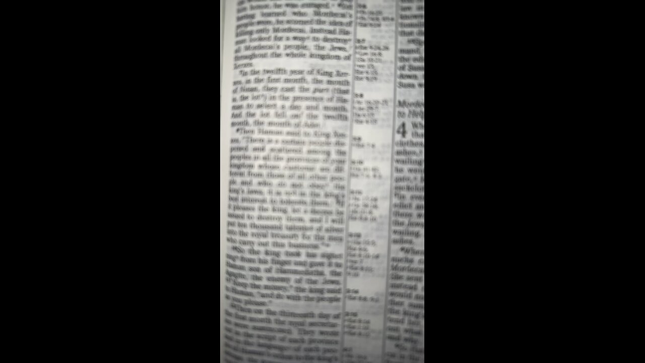 Esther Chapter 3:8-10
