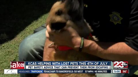 Kern County Animal Services offers programs to help find your pet if they escape 4th of July weekend