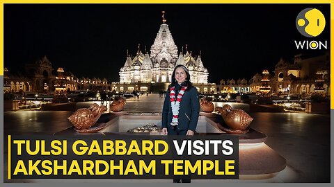 USA: Hindu Leaders Welcome Tulsi Gabbard at Akshardham Temple In New Jersey | WION