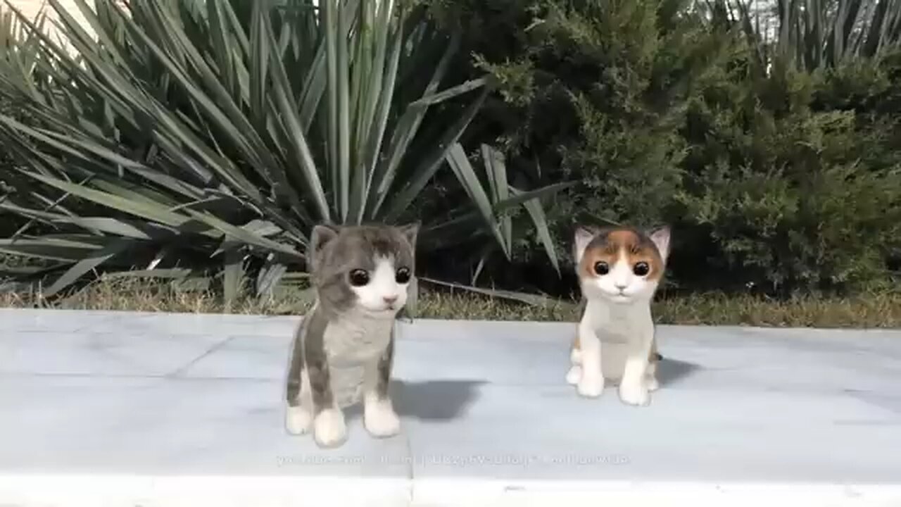 dancing cats ।। Animal lover