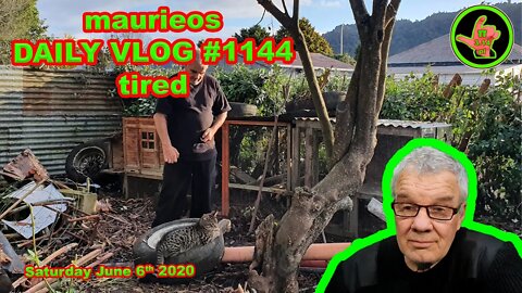 maurieos DAILY VLOG #1144 tired