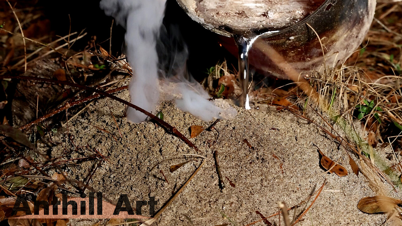 Casting an Ant Hill on a Log with Aluminum (Cast #126)