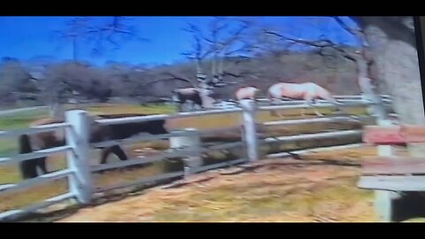 Ranch Life - 5 into 1 Video