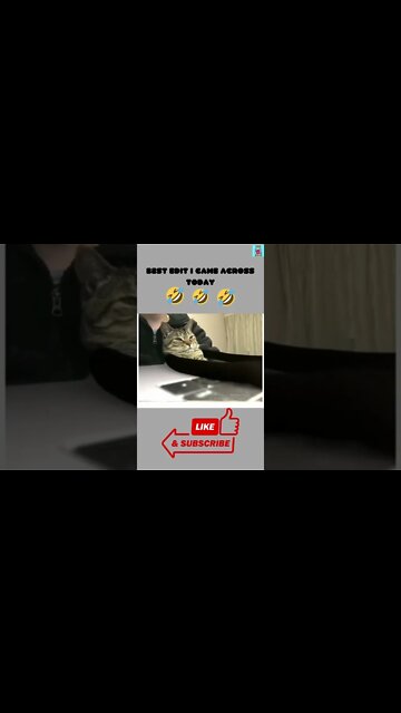 Hilarious Editing😂