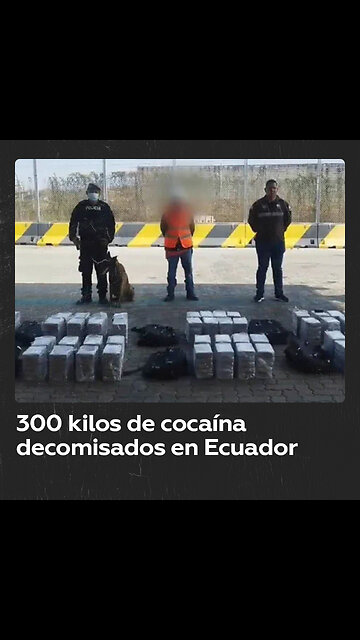 Decomisan 300 kilos de cocaína en el puerto de Guayaquil