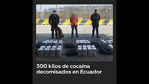 Decomisan 300 kilos de cocaína en el puerto de Guayaquil