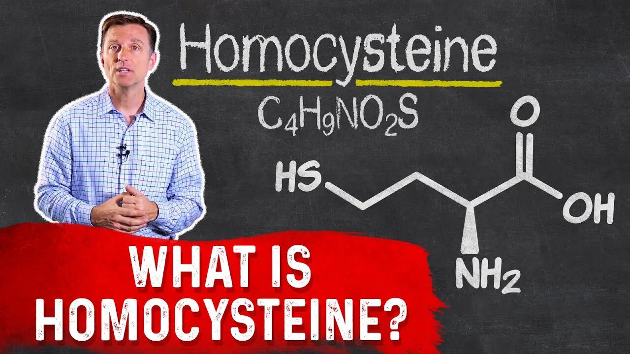 What Is Homocysteine? – Dr. Berg