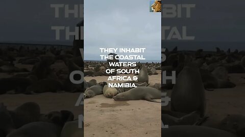 @AfricanWildlifeFacts101 #africa #namibia #sealife #shorts SUBSCRIBE & SHARE! 👉