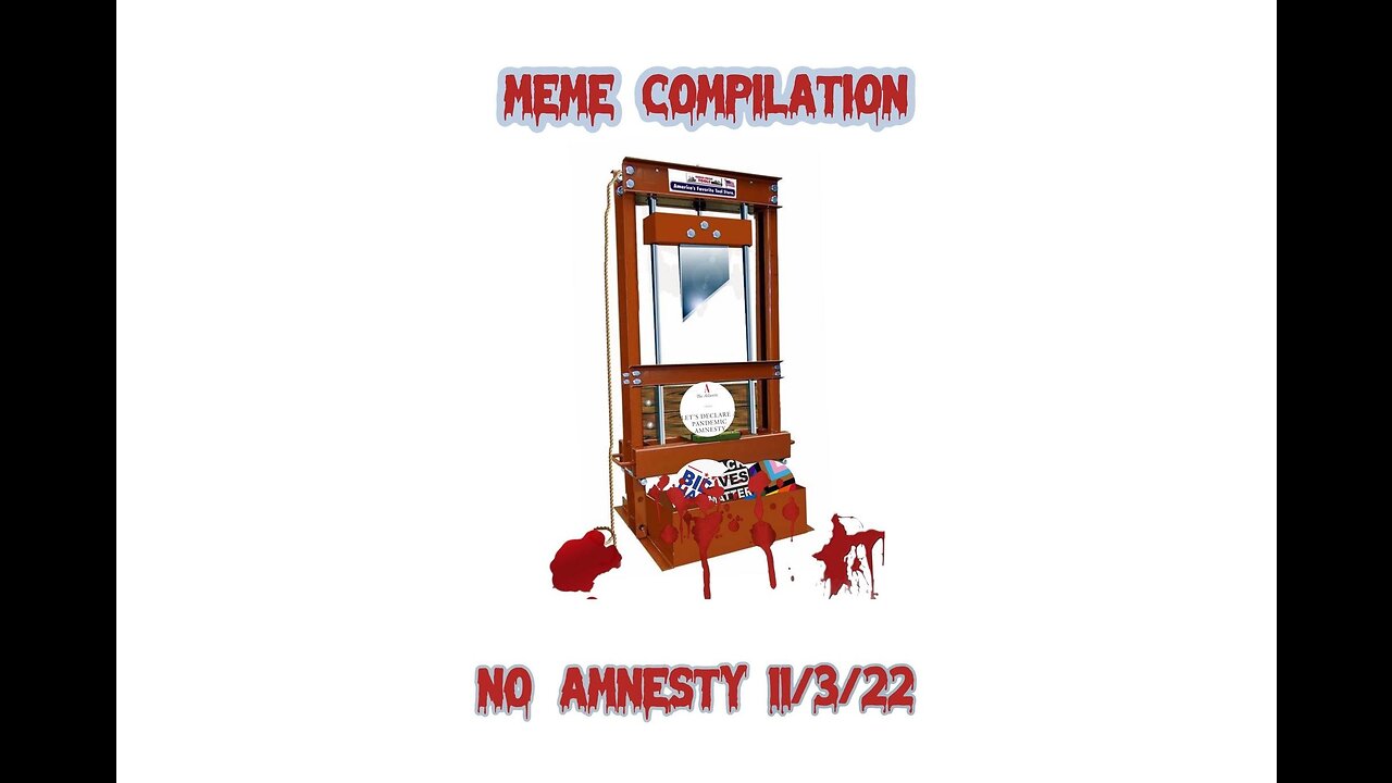 No Amnesty Meme Compilation by Krac & Nadjia Foxx 🔥