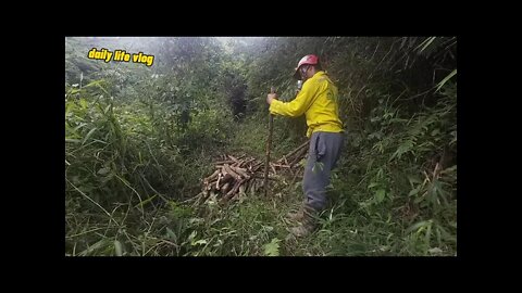 Young people go there to fight boredom | daily life vlog