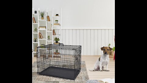 Review PAWOLOGY Wire Dog Crate Large 36 inches w Divider Double Door,Heavy Duty, Collapsible a...