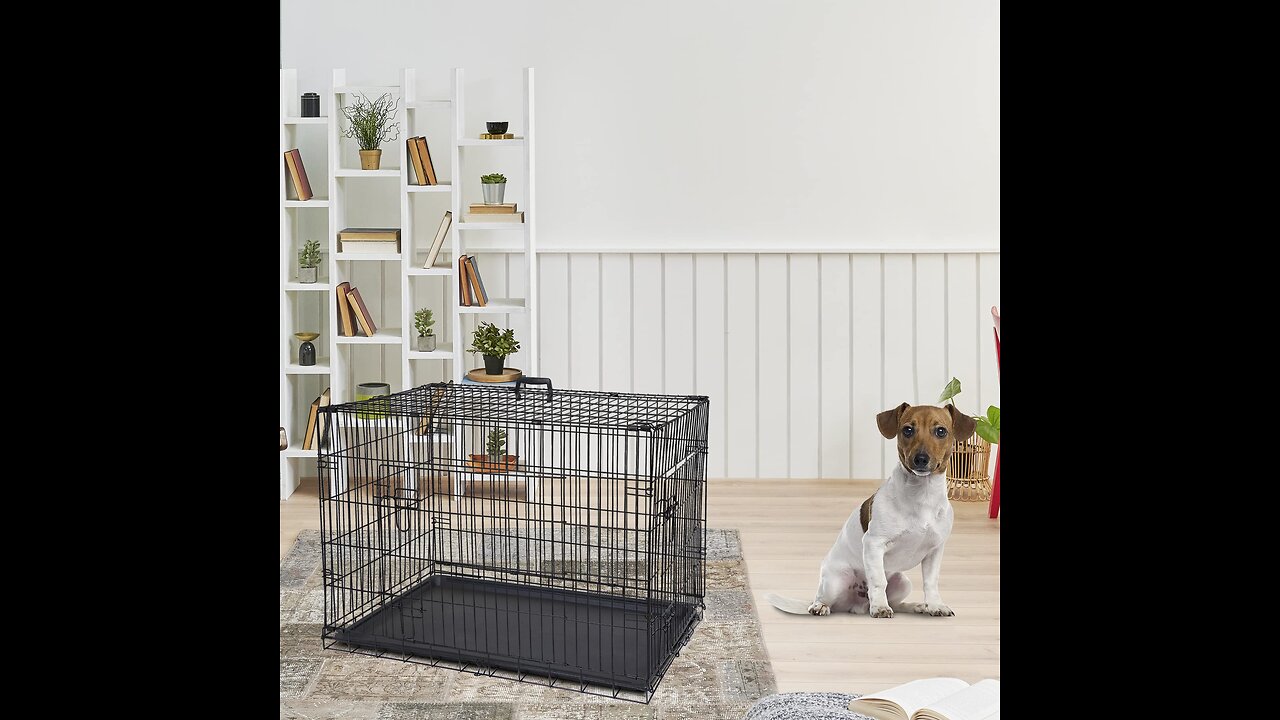 Review PAWOLOGY Wire Dog Crate Large 36 inches w Divider Double Door,Heavy Duty, Collapsible a...