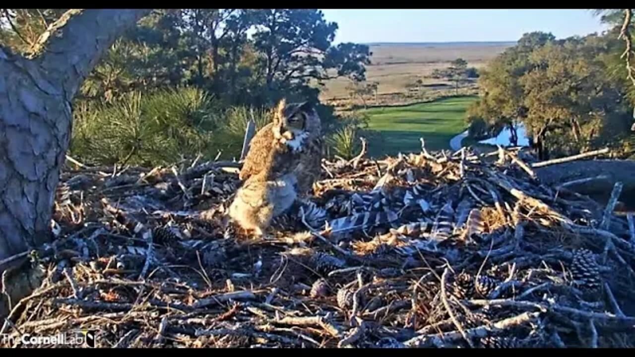 Breakfast is Served 🦉 3/13/22 08:19