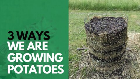 S3E133 Three Ways We're Growing Potatoes On Our Homestead This Year