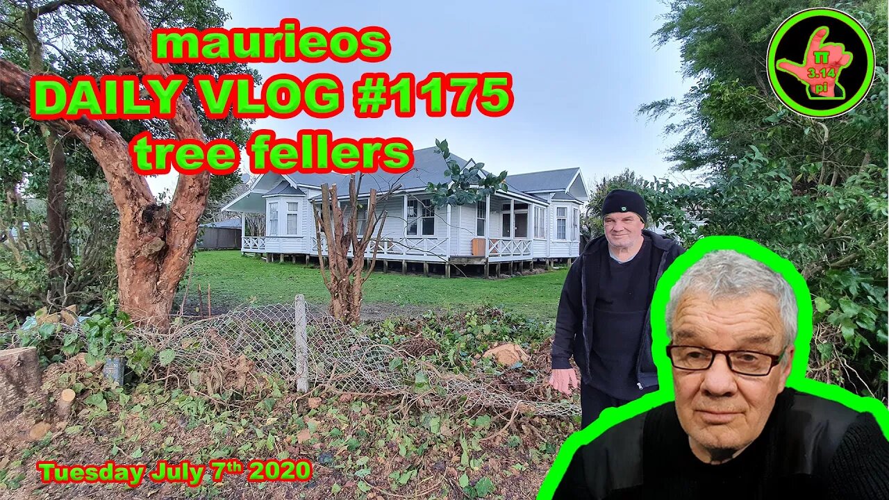 maurieos DAILY VLOG #1175 tree fellers