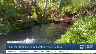 Walking Club: Exploring St. Pete’s Sunken Gardens