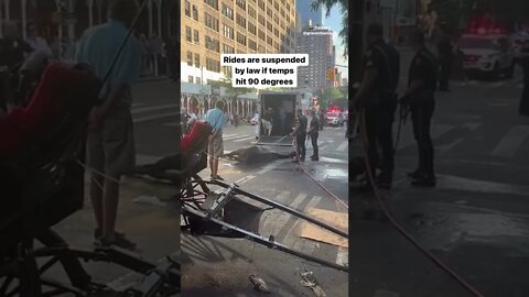 Exhausted carriage horse collapses during Midtown Manhattan as its driver shouts 'get up, get up!'