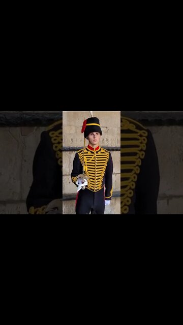 I'm still standing #horseguardsparade