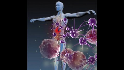 질병예찬, 베르트 에가르트너, 지음, 위생가설, 동독의 비밀, 알러지, 천식, 기관지염, 베를린 장벽, 무티우스, 다발성경화증, 자가면역결핍, 류머티스, 알레르기