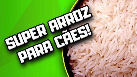 Arroz MILAGROSO para Cães! | Dr. Edgard Gomes | Alimentação natural para Cães