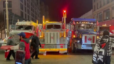 The Biggest Honks From The Freedom Convoy In Ottawa