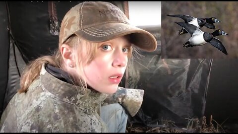 Wildlife Photography with my daughter in the Duck Blind